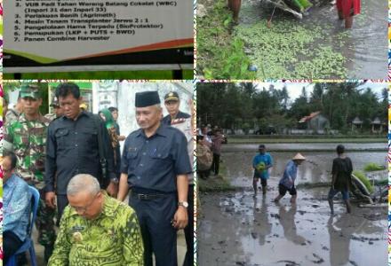 PENANAMAN PADI DENGAN MESIN