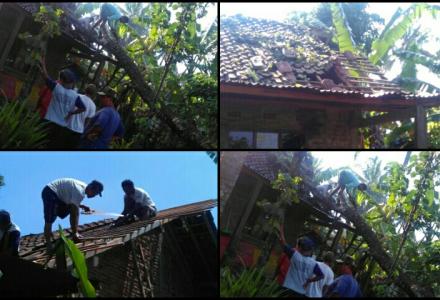 PENANGANAN CEPAT TANGGAP BENCANA ALAM POHON TUMBANG DUSUN NGLEMBU