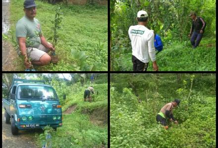 PENANAMAN POHON DI WANA DESA PEDUKUHAN KRAPYAK WETAN