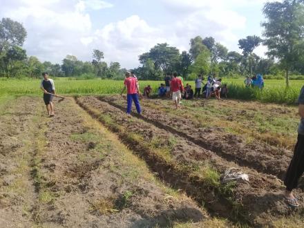 KERJABAKTI MUDA MUDI PENANAMAN POHON KATES