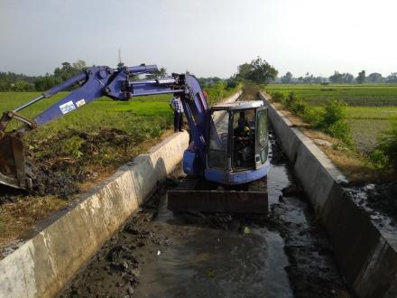 ANGKAT WALET DARI P3A DI SALURAN SRI KEBO BARAT DUSUN SEMAMPIR
