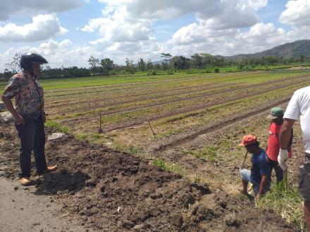 TINJAUAN PEMBANGUNAN OLEH BAPAK KASI KESEJAHTERAAN