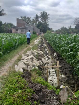 Kunjungan Bapak Lurah ke Pembangunan Bangket di Pedukuhan Jamprit