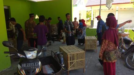 Pelatihan Ternak Ayam bagi Difabel