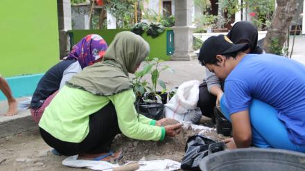 Penanaman Tanaman Obat Keluarga (TOGA) bersama Mahasiswa KKN UPN Yogyakarta