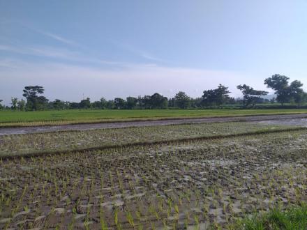 Akbat hujan deras