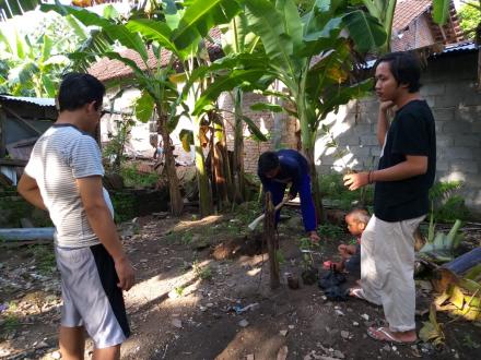 Penanaman Pohon oleh KKN IIQ AN NUR Yogyakarta